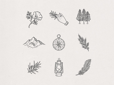 Wanderlust Icons adventure branch compass feather feminine hand drawn icons illustration lantern mountains nature trees