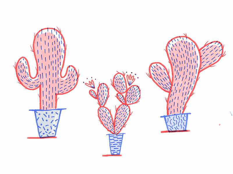 Example of Cacti Study