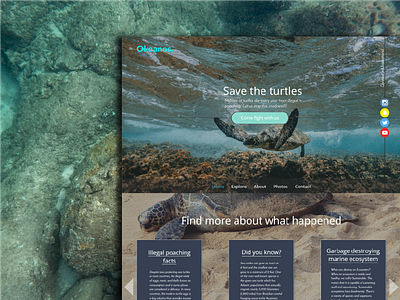 Daily Design Challenge #4 [Website] challenge design graphic graphic design simple turtles ui web website