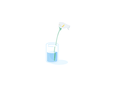 Lily 2d flower glass illustration lily plants vector water