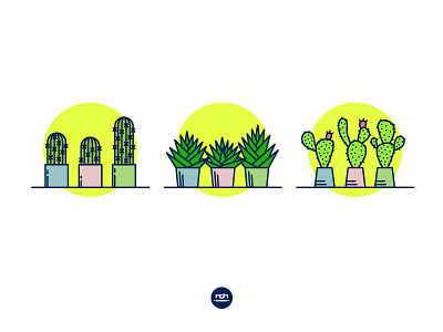 succulents icon icon set succulent