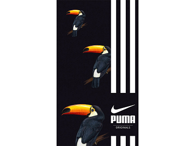 Brandom. Nothing is original. adidas bird exotic nike package parrot pattern puma shoes sneakers toucan