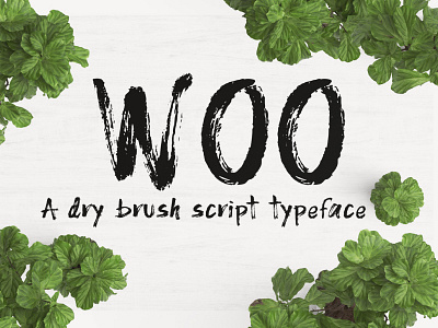 Woo Dry Brush Font brush dry font handwriting handwritten informal ink lettering marker pen typeface woo