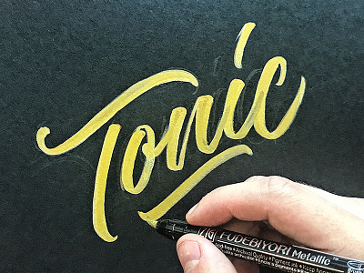 Tonic brush script brushpen calligraphy custom type hand lettering hand made type lettering script type typography