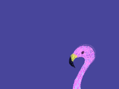 Flamingo head bird flamingo hand painted illustration pink