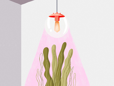 Modern Phototropisim illustration light modern plant simple
