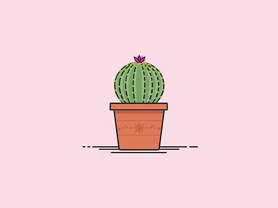 30 Minute Challenge - Potted Plant cacti cactus house plant plant pot potted plant succulent terra cotta