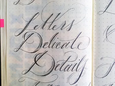 Script Style calligraphy flourish hand type lettering script sketchbook typography