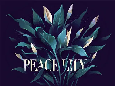 05 Peace lily colorful flowers illustration indoor lily peace lily plants purity series