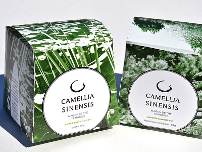 Packaging - Camellia Sinensis camellia sinensis packaging tea