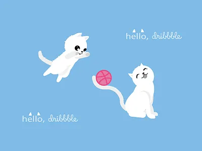 Cat cat first shot