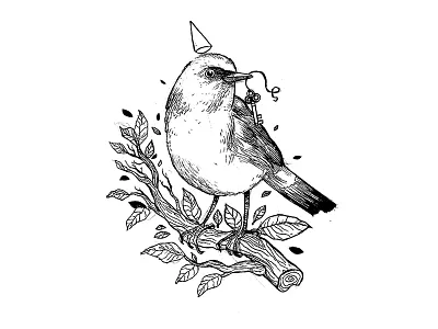 bird bird bw illustration key nature