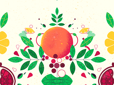 more fruits fruits grape kaleidoscope leaf leaves orange pomegranate styleframe