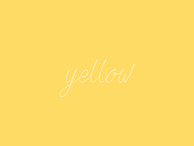 Yellow Script branding design flat lettering. logo script vector yellow