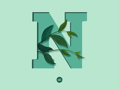 N letter leaves letter lettering nature typography