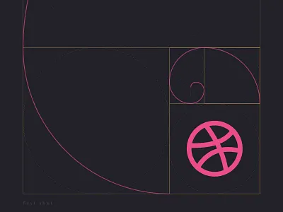 My first shot ! dribbble fisrt shot golden ratio