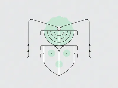 Beetle beetle bug illustration insect lines nature