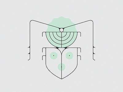 Beetle beetle bug illustration insect lines nature
