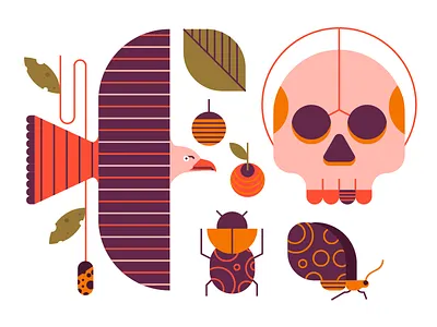 Exploring Icons berries butterfly design eagle exploring icons illustrations leaves nature plant skull style