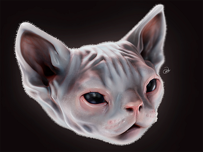 Kitty 3d cat sculpt zbrush