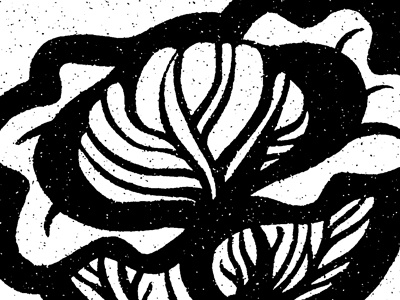 Some black and white studies contrast illustration leaf