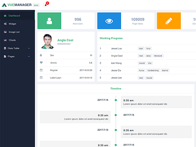 Vue Manager Dashboard admin