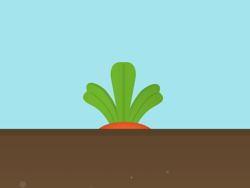 Carrot animation carrot gardening