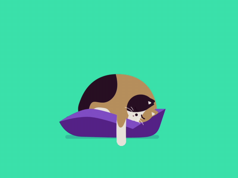 Lazy cat animation cat illustration motion vector