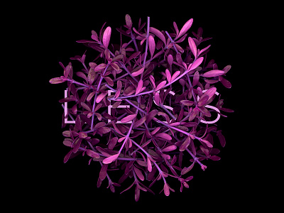 L̶E̶S̶S̶ abundance design less limiting beliefs more scanograph scanography self worth type typography worth