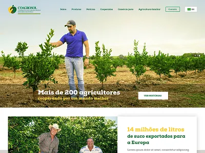 Coagrosol agricultura agro coagrosol cooperativa home institutional