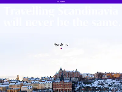 Daily UI #003 Landing Page landing page logo minimal north purple scandinavia travel