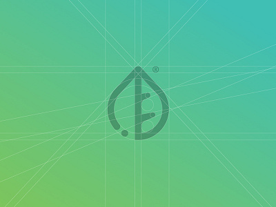 SNP — Logo branding drop icon leaf logo
