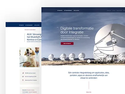 Software integration company blue bold clean minimal red software ui ux white wireframing