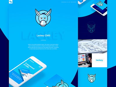 Lackey - Behance Case Study branding circles cms donkey illustration lackey logo london node js thick stroke ui ux