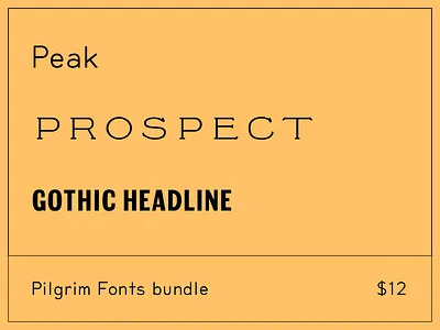Summer Sale at Pilgrim Fonts fonts sale type