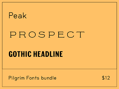 Summer Sale at Pilgrim Fonts fonts sale type