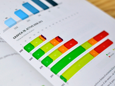 Informe Anual Scare (Inside) book cover data data visualization graphic print report