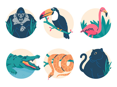 Wild animal illustration animal crocodile flamingo gorilla illustration jungle panther snake wild zoo