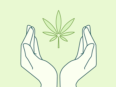 Cultivate Icon cannabis cultivate growing hands icon illustration illustrator marijuana pot leaf vector