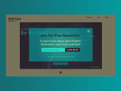 DailyUI 016 Pop Up daily ui 016 dailyui graphic design ios newsletter popup typography ui ui design user interface web design wolf