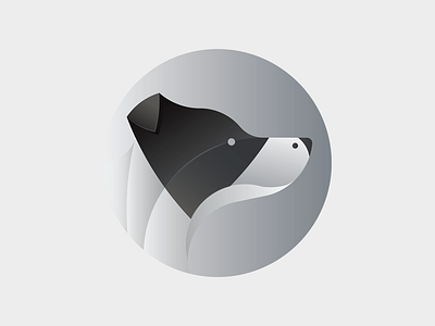 Flash animal border bordercollie collie dog flash gradient illustration