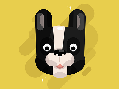 Cash the Frenchie animation character design dog geometric illustration illustrator mateus vector vector art