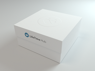 Package LifeTime Hub 3d blender box package packaging verpackung