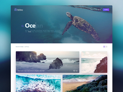 PhotoStock clean design gallery modern modular ocean photo stock store ui website