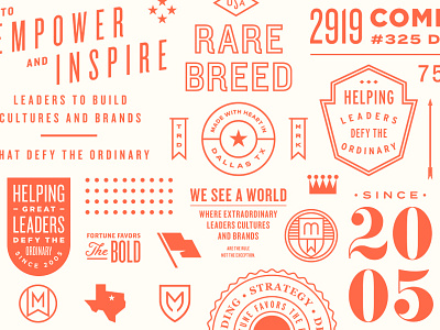 Brand elements badge branding crest lockup logo pattern script seal texas typography