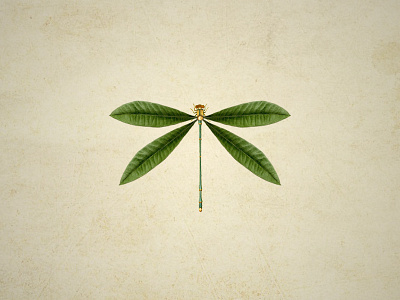 Goldsect collage design dribbble gold illustration insect inspiration nature plant