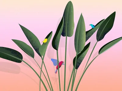 Birds birds coco color editorial grain green illustration illustrator luxury nature summer