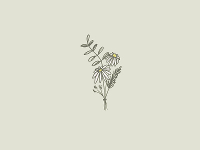 Wildflowers flowers illustration sketch wildflowers