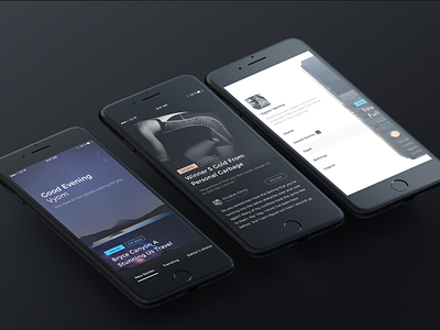 Echo free ui kit ios story reading concept ui