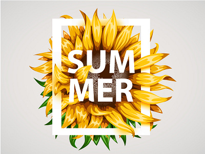 Sunflower blooming flower garden happy illustration leaf macro nature organic summer sunflower vector